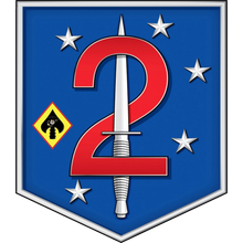 Load image into Gallery viewer, 2d Marine Special Operation Battalion Logo T-Shirts